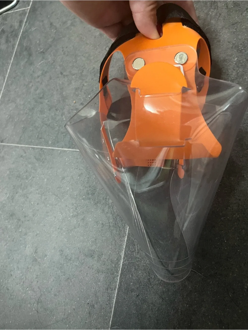 Eye protection for dog post surgery